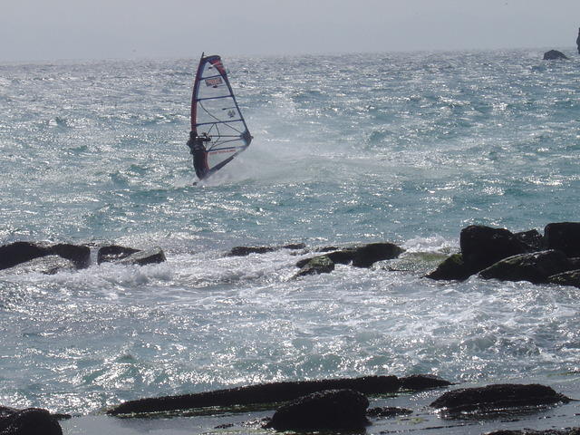 DSC06486