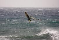 pons compr1